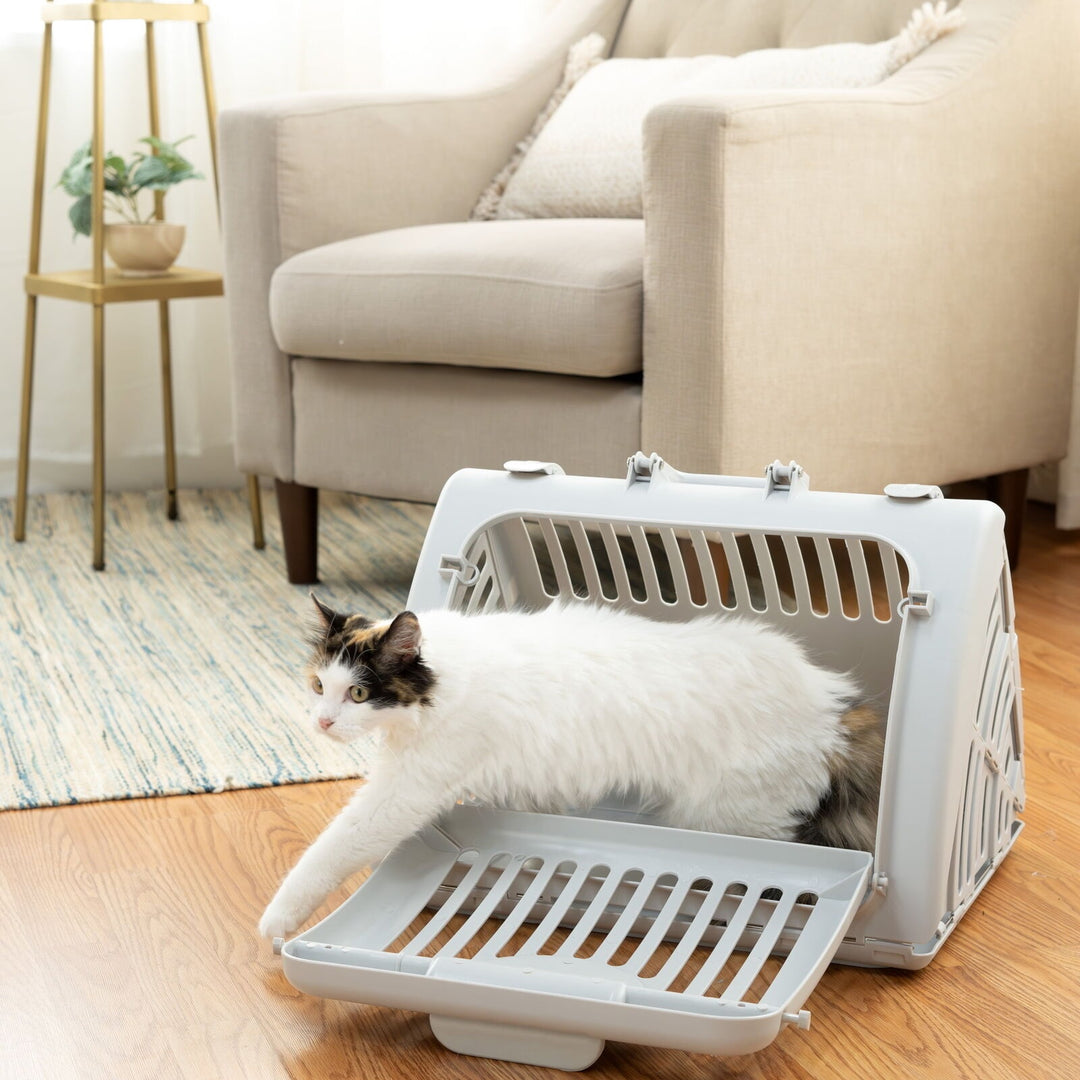Vibrant Life Foldable Plastic Travel Cat Carrier  Gray  One Size Retail $19.97