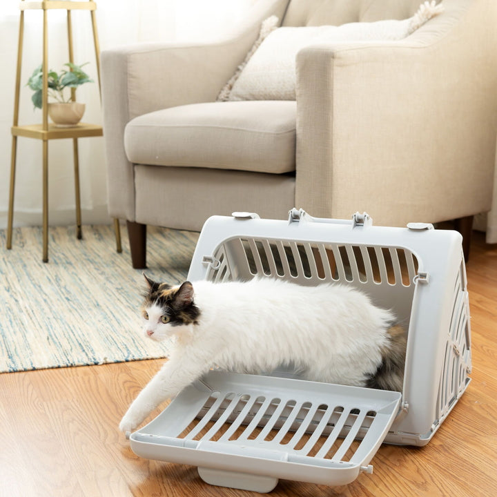 Vibrant Life Foldable Plastic Travel Cat Carrier  Gray  One Size Retail $19.97