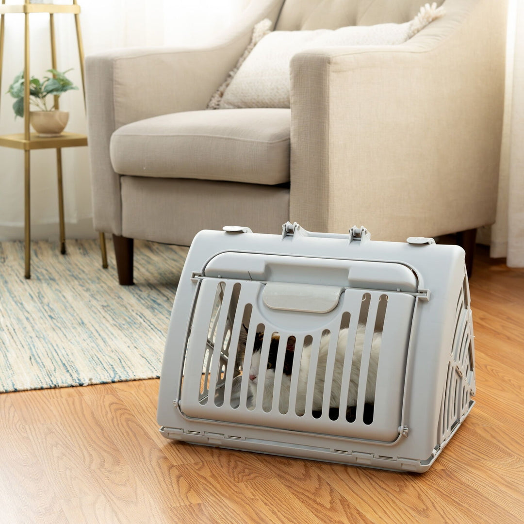 Vibrant Life Foldable Plastic Travel Cat Carrier  Gray  One Size Retail $19.97