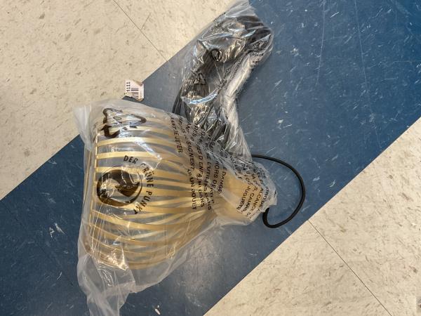 Raymalux plug in pendant lighting gold Retail $28.39