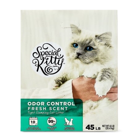 Special Kitty Clumping Clay Cat Litter  Fresh Scent  45 Lbs Box Retail $12.88