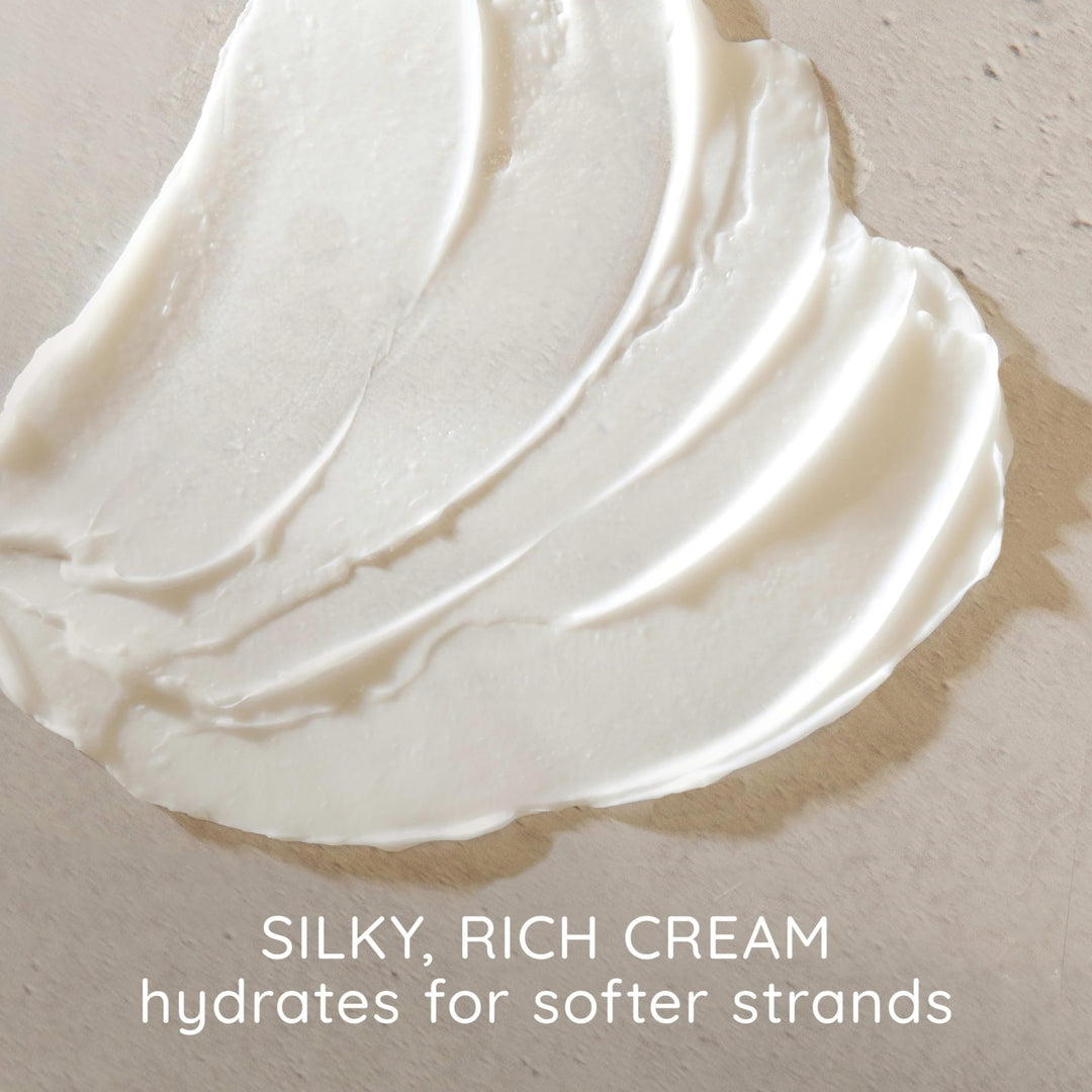 Aveeno Apple Cider Vinegar Sulfate-Free Conditioner for Balance & High Shine, Daily Moisturizing & Scalp Soothing Conditioner for Oily or Dull Hair, Paraben & Dye-Free, 12oz