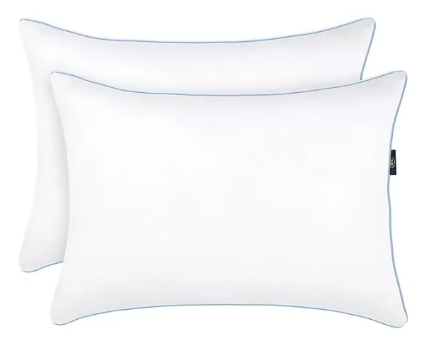 Serta Perfect Sleeper Comfy Sleep Eco-Friendly Bed Pillow, 2 Pack, Queen Size Retail $20.98