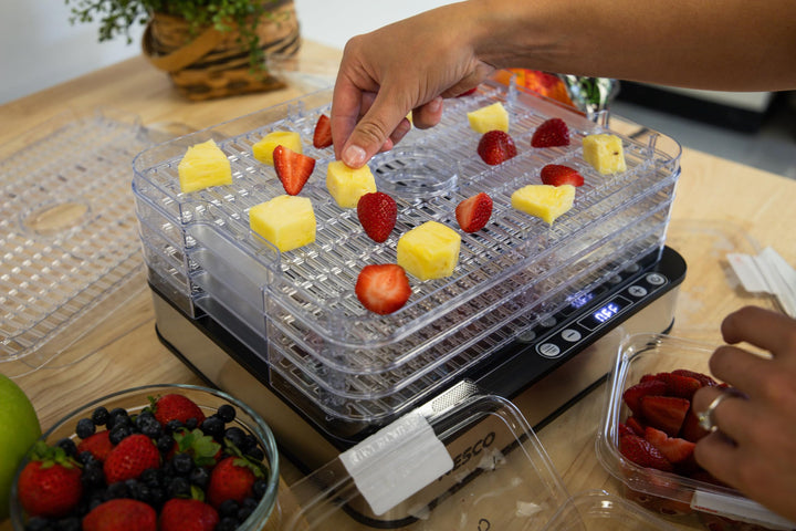 NESCO FD-5TC Snackmaster Food Dehydrator â€“ 5 BPA-Free Trays, Adjustable Temp Control, Compact Design for Jerky, Fruit, Herbs, Pet Treats, 420W