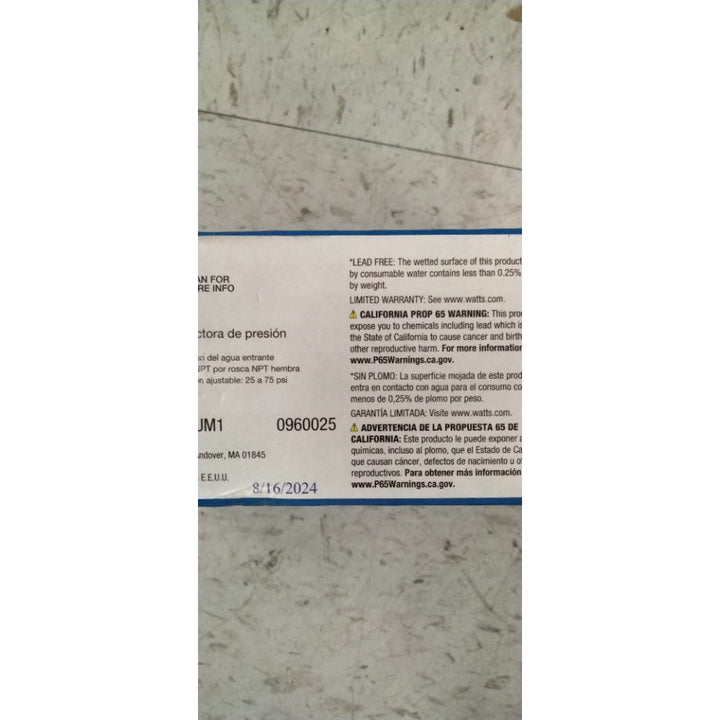 Watts Pressure 1 " Fpt Stainless Steel Strainer