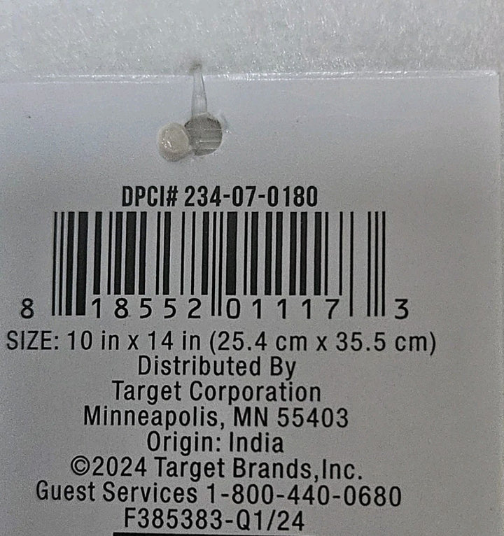 Target Bullseye Playground Fall 2024 Pillows GATHER Pillow NEW