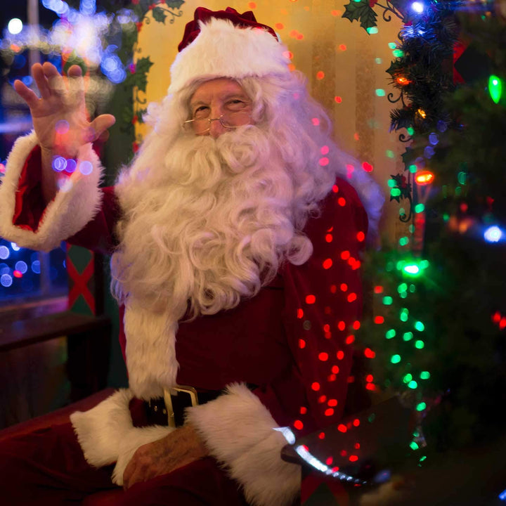 25 Pack C7 Led Replacement Christmas Light Bulb, Shatterproof C7 Led Bulbs for Christmas String Lights, E12 Candelabra Base, Commercial Grade Dimmable Holiday Bulbs, Red