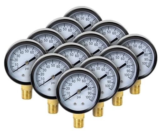 H2O PRO 12 Pack 100 PSI Steel Pressure Gauge with 1/4 Inch Male NPT Connection, Measures Well Water Pressure, Model 024771