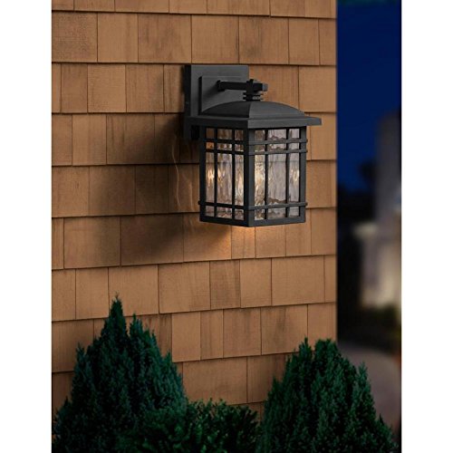 Quoizel Canyon 9.25-in H Matte Black Outdoor Wall Light