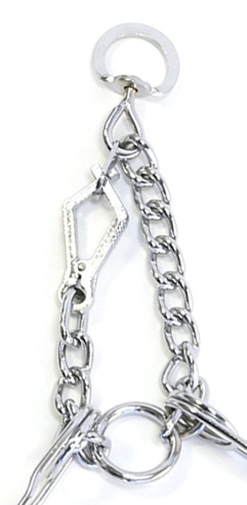 Pet Champion Pronged Control Metal Training Collar, Extra Large 4mm x 22-28in Retail $12.97