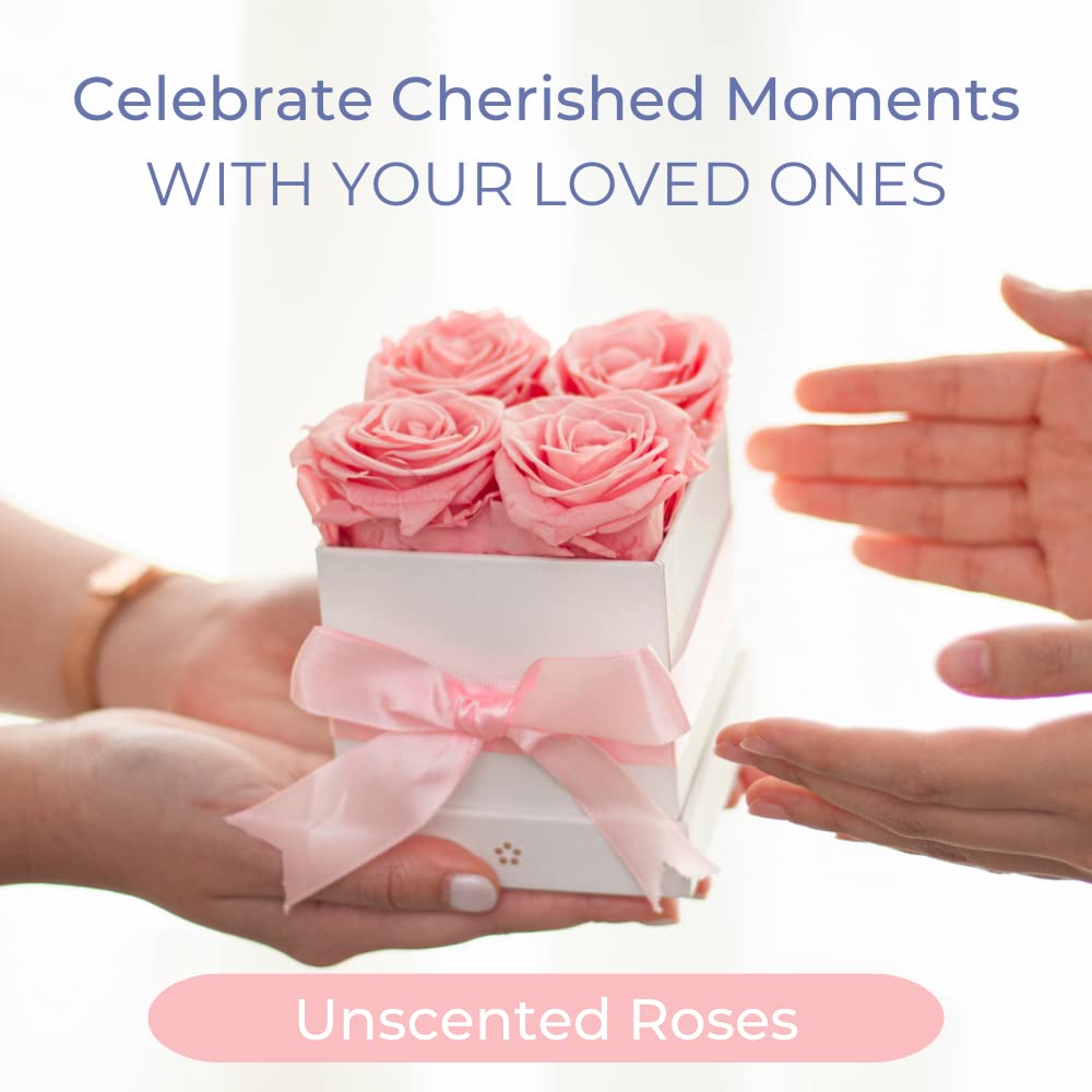 AROMEO Pink Roses, A Gift That Lasts | Fresh Flowers for Delivery, Mothers Day Gifts, Mom, Girlfriend, Wife, Mother, Birthday, Women Gift. Preserved Fresh Cut Zero Maintenance Roses with Box Retail $69.99