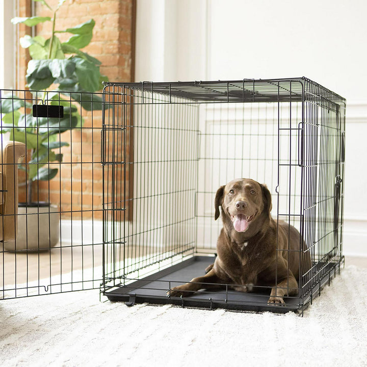 Vibrant Life Wire Dog Crate  Double-Door  Divider and Leak-Proof Tray  Metal  Foldable  Durable  Black  42 Retail $57.99