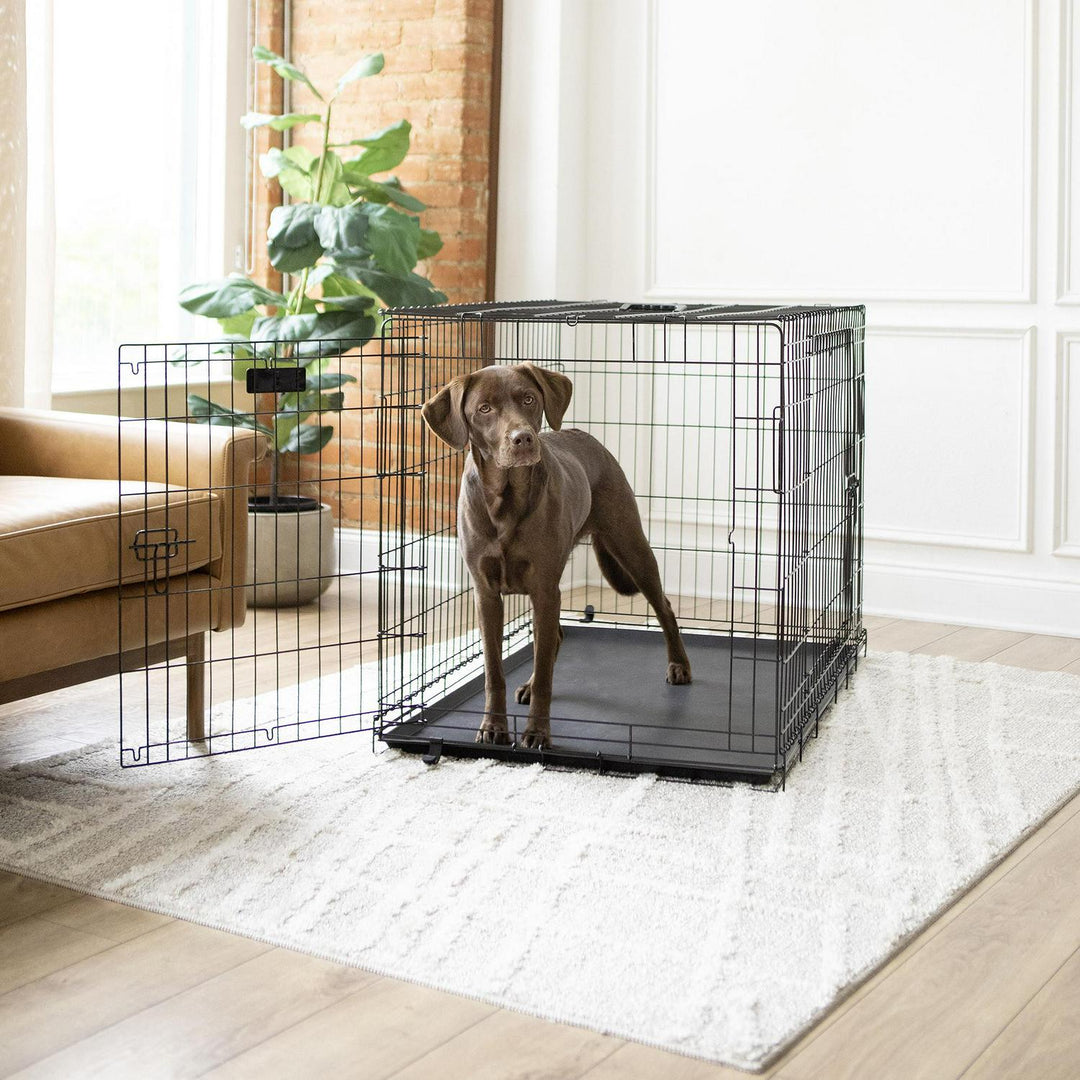 Vibrant Life Wire Dog Crate  Double-Door  Divider and Leak-Proof Tray  Metal  Foldable  Durable  Black  42 Retail $57.99