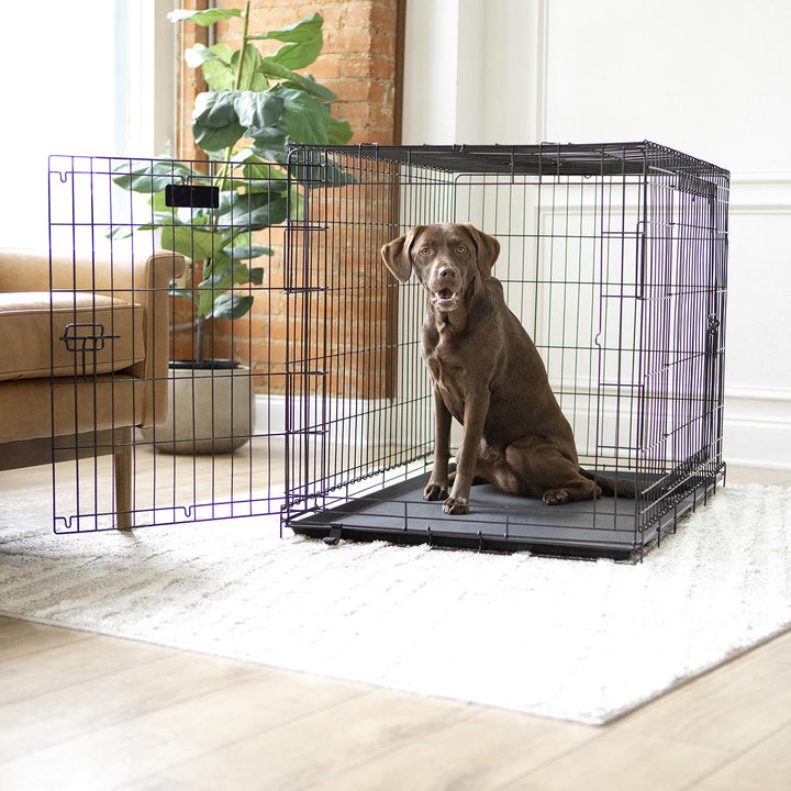 Vibrant Life Wire Dog Crate  Double-Door  Divider and Leak-Proof Tray  Metal  Foldable  Durable  Black  42 Retail $57.99