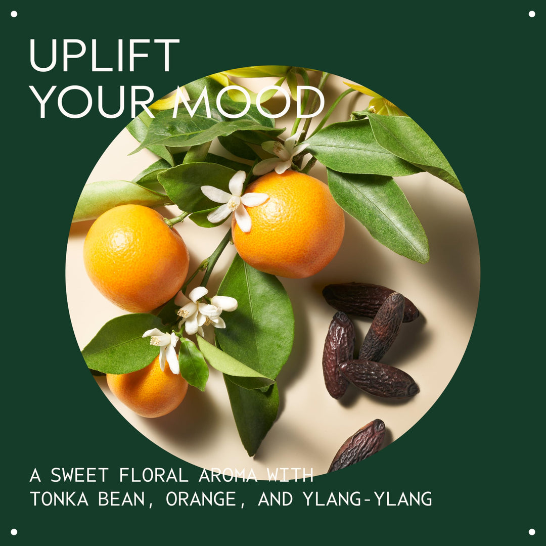 Aveda Cherry Almond Softening Conditioner | for Normal to Dry Hair | 98% Naturally Derived* | with Coconut Oil & Shea Butter | Silicone Free | Iconic Aroma of Tonka, Orange, Ylang Ylang, 6.7 Fl Oz