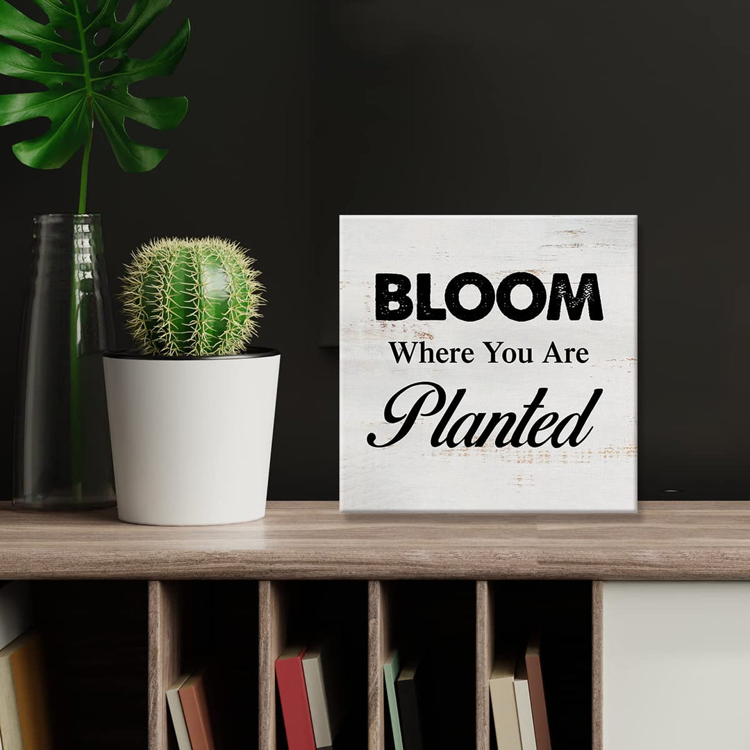 Bloom Where You are Planted Sign Canvas Wall Art Home Decor 8 x 8 Inch Farmhouse Canvas Print Painting Framed Plaque Rustic Desk Shelf Art