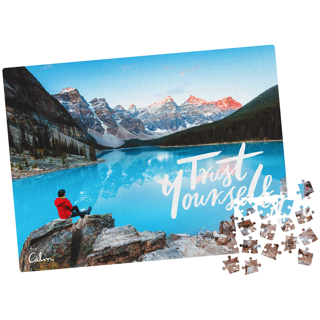 SPIN MASTER GAMES Spin Master 300-Piece Calm Jigsaw Puzzle for Relaxation, Stress Relief, and Mood Elevation, for Adults and Kids Ages 8 and up, Trust Yourself Retail $12.00