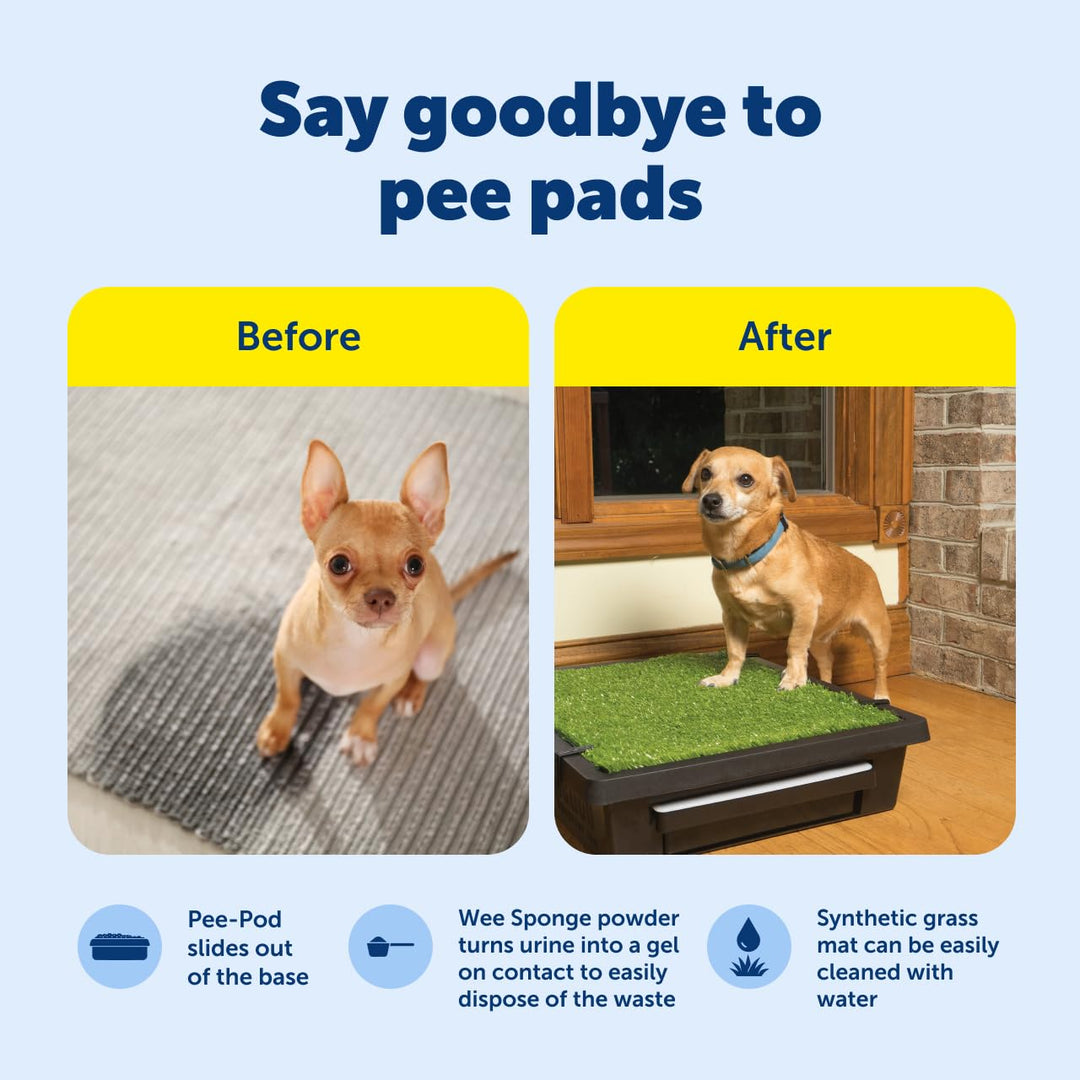 PetSafe Pet Loo Portable Dog Potty - Pet Toilet Alternative for Puppy Pads - Small - Perfect for House Training - Easy-to-Clean Grass Mat Retail $89.99