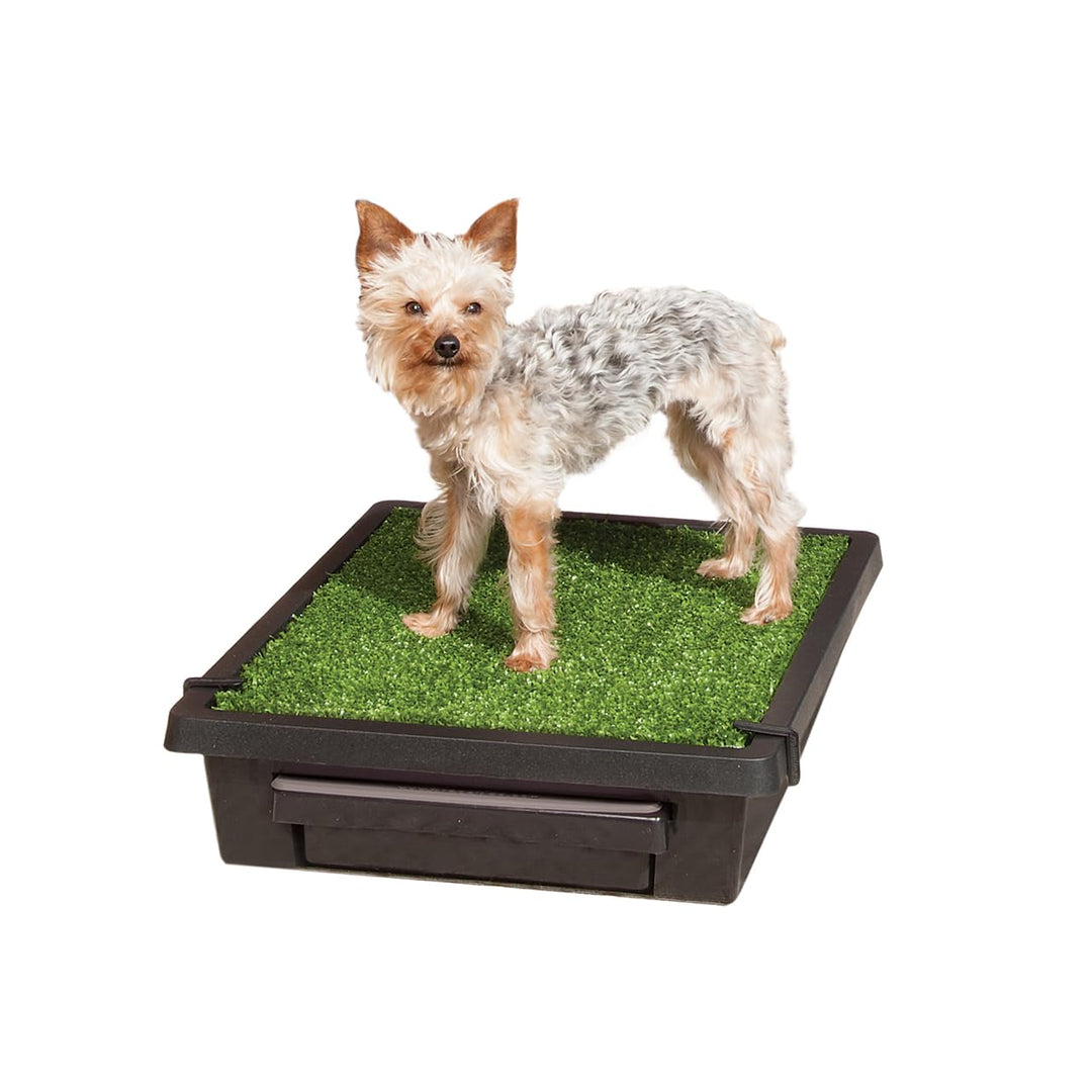 PetSafe Pet Loo Portable Dog Potty - Pet Toilet Alternative for Puppy Pads - Small - Perfect for House Training - Easy-to-Clean Grass Mat Retail $89.99