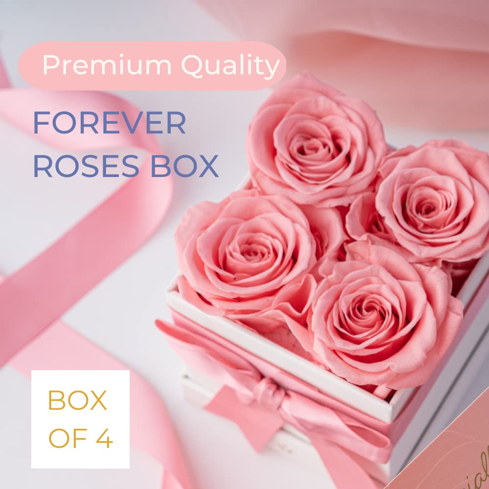 AROMEO Pink Roses, A Gift That Lasts | Fresh Flowers for Delivery, Mothers Day Gifts, Mom, Girlfriend, Wife, Mother, Birthday, Women Gift. Preserved Fresh Cut Zero Maintenance Roses with Box Retail $69.99