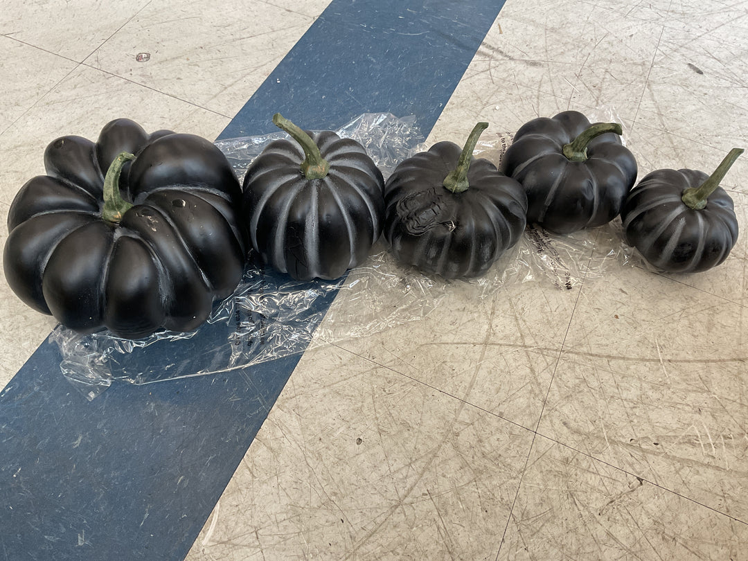 Simply Stunning Set of 5 Fairytale Pumpkins by Janine Gra - Black Retail $45.00