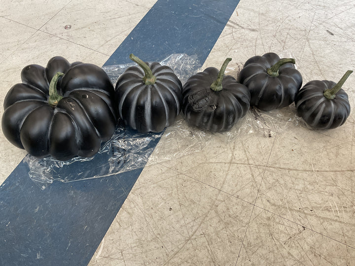 Simply Stunning Set of 5 Fairytale Pumpkins by Janine Gra - Black Retail $45.00
