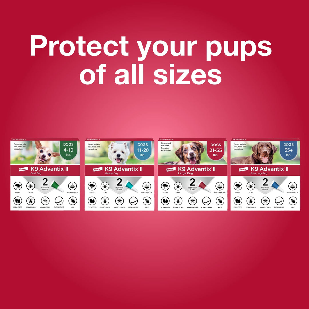 K9 Advantix II Small Dog Vet-Recommended Flea, Tick & Mosquito Treatment & Prevention | Dogs 4-10 lbs. | 1-Mo Supply Retail $19.97