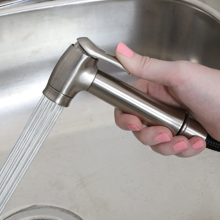 Danco 10332 Transitional Kitchen Sink Side Spray, Brushed Nickel Retail $21.99