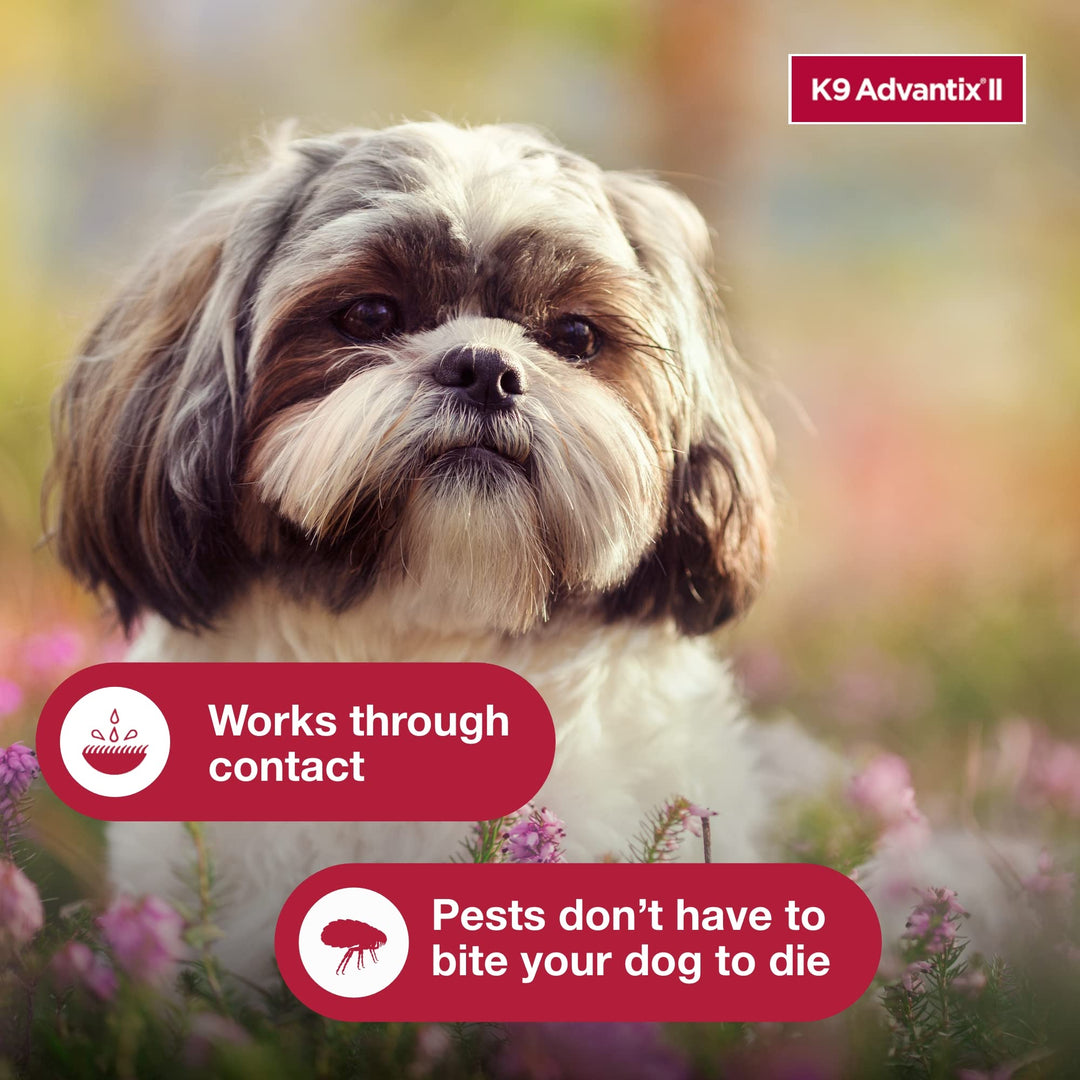 K9 Advantix II Small Dog Vet-Recommended Flea, Tick & Mosquito Treatment & Prevention | Dogs 4-10 lbs. | 1-Mo Supply Retail $19.97