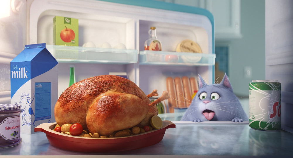 The Secret Life of Pets [DVD]