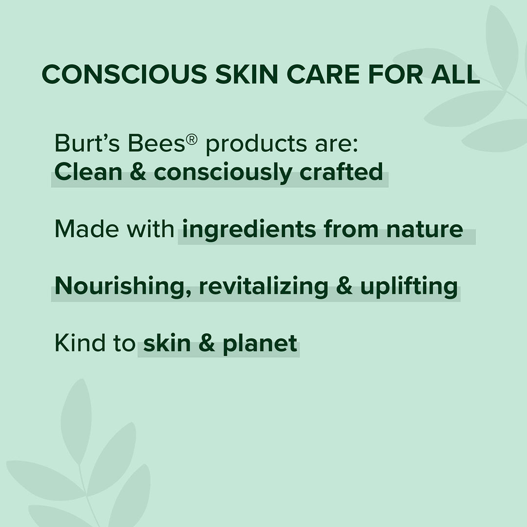 BurtÃ¢â‚¬â„¢s Bees 100% Natural Glossy Lipstick, Nude Mist - 1 Tube
