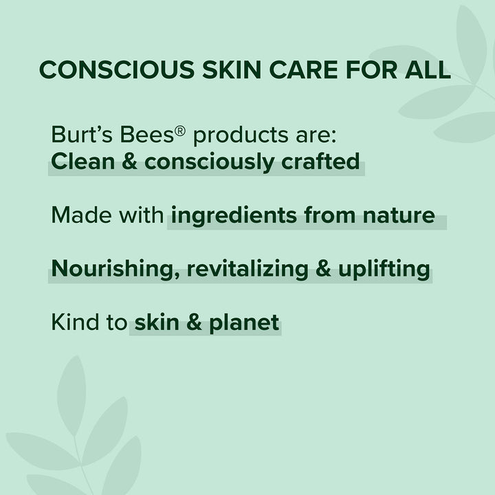 BurtÃ¢â‚¬â„¢s Bees 100% Natural Glossy Lipstick, Nude Mist - 1 Tube