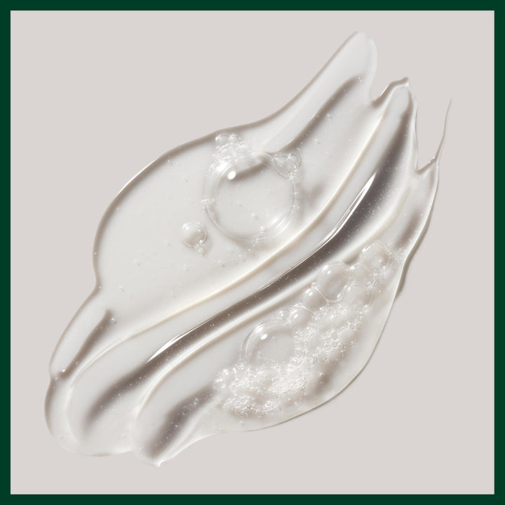 Aveda Rosemary Mint Purifying Shampoo | Clarifying Shampoo | Adds Shine | for Normal to Oily Hair, Fine to Medium Hair Types | 97% Naturally Derived*, 8.5 Fl Oz