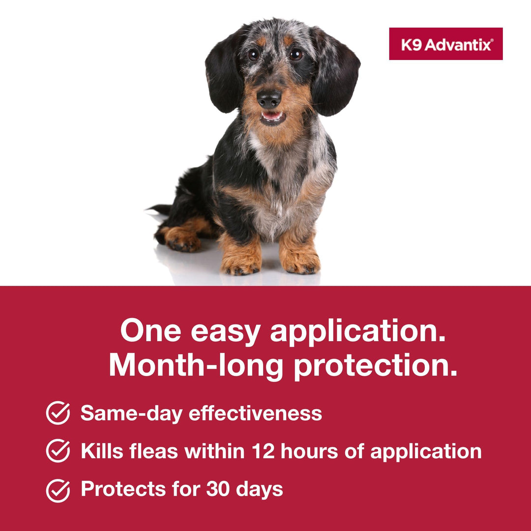 K9 Advantix Flea, Tick & Mosquito Prevention for Dogs 4-10 lbs. | Flea Drops for Small Dogs | Apply Monthly | 2 Treatments Retail $14.98