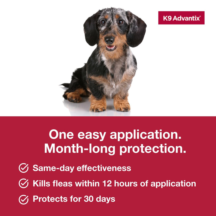 K9 Advantix Flea, Tick & Mosquito Prevention for Dogs 4-10 lbs. | Flea Drops for Small Dogs | Apply Monthly | 2 Treatments Retail $14.98