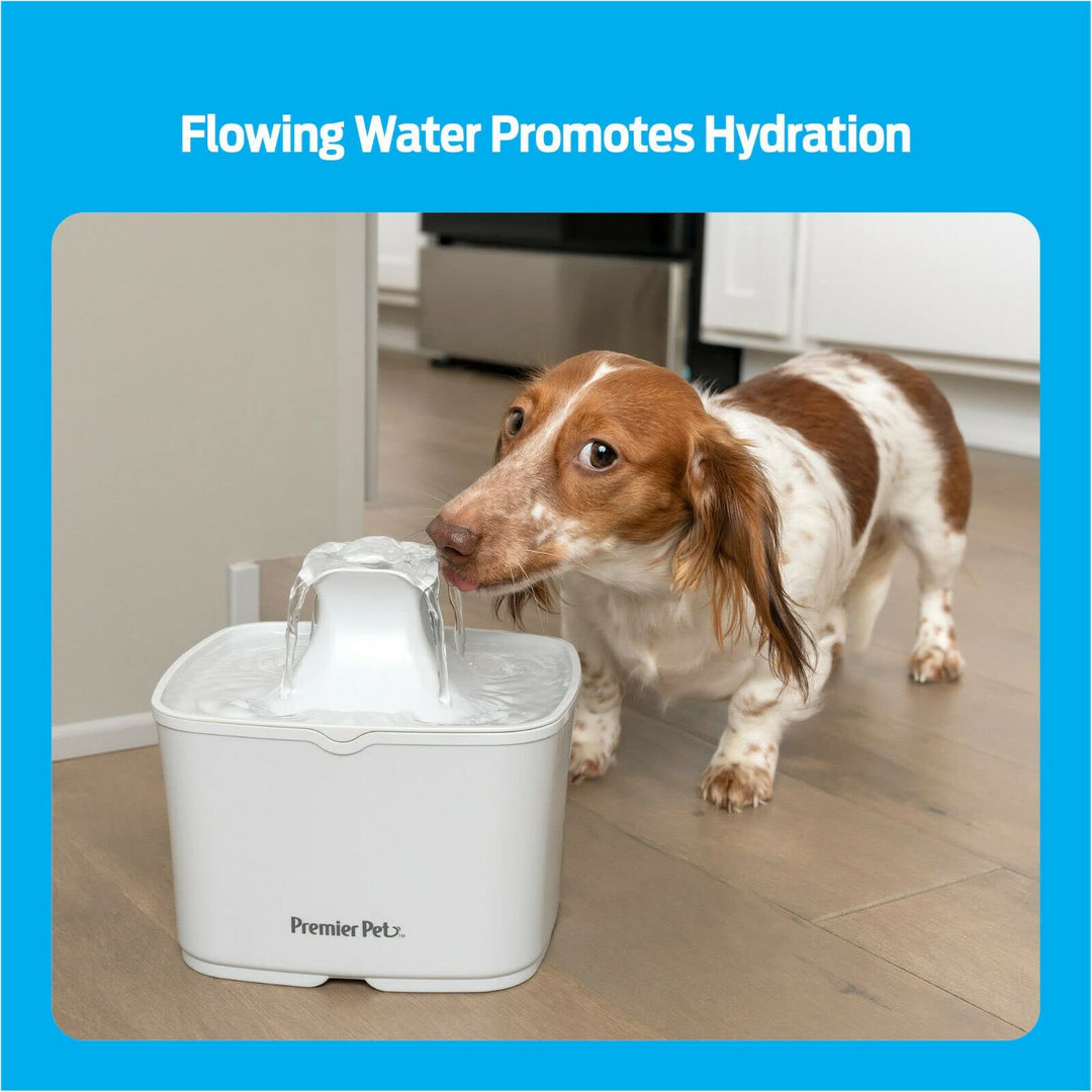Premier PET 60 OZ. PET Fountain