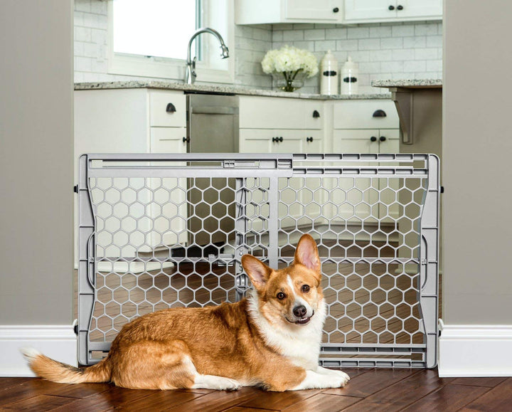 Carlson Pet Easy Fit Portable Pet Gate, Fits Openings 28-42" Wide, 23" Tall, Rubber Pads to Protect Walls, Durable Dog Gate for Doorways, Patented Pressure Mount Ensures Perfect Fit 28-42" Wide, Gray Retail $29.99