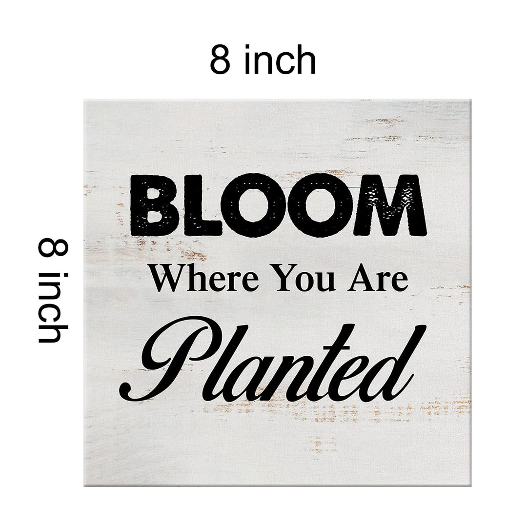 Bloom Where You are Planted Sign Canvas Wall Art Home Decor 8 x 8 Inch Farmhouse Canvas Print Painting Framed Plaque Rustic Desk Shelf Art