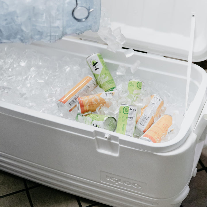 Igloo Polar 120 Qt. Cooler Retail $114.99