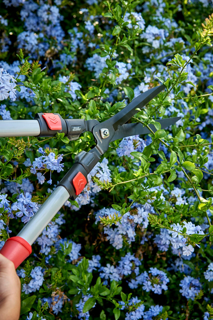 Corona HS 3344 ComfortGEL Extendable Hedge Shear, 9-Inch Blade, Red