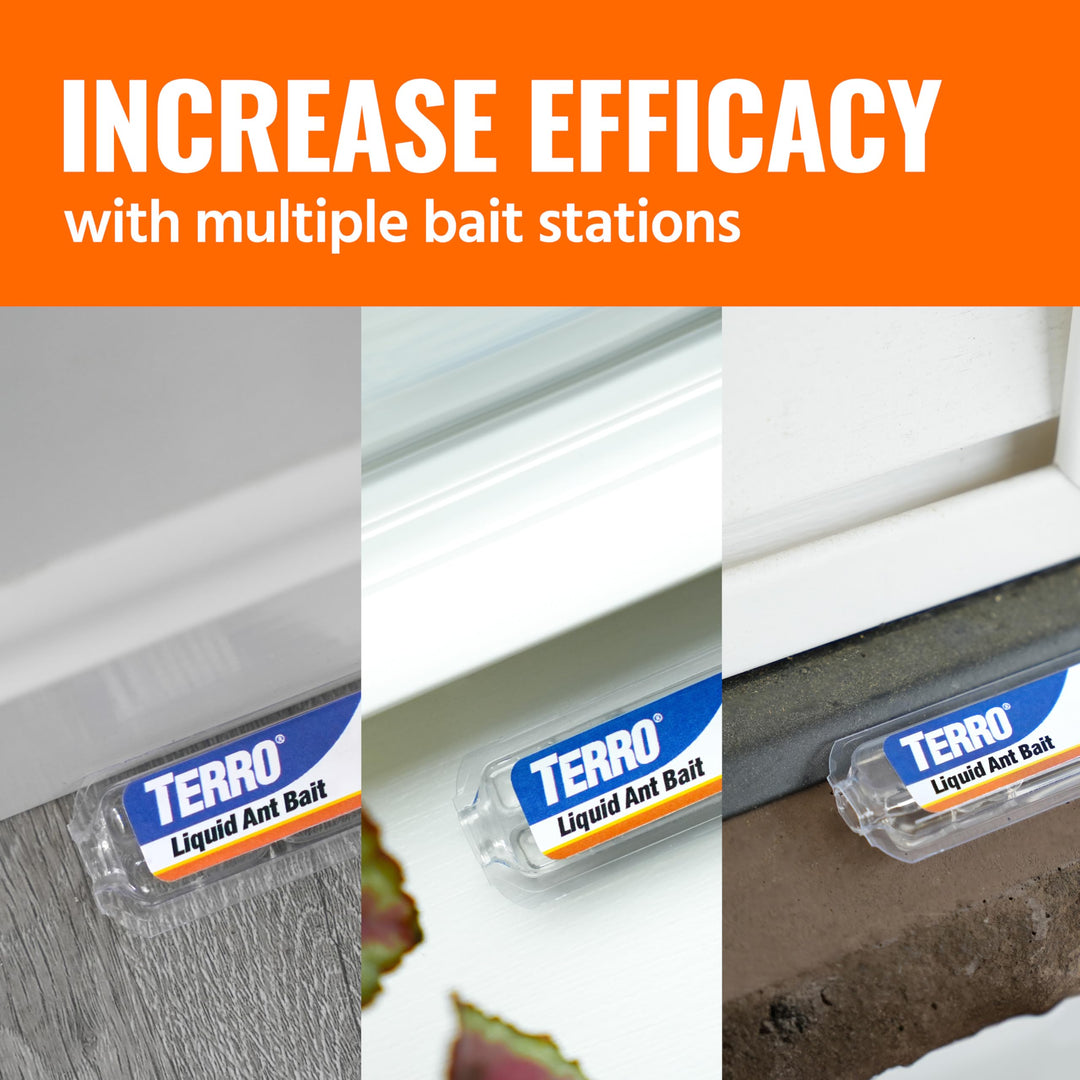 TERRO Ant Killer Bait Stations T300B - Liquid Bait to Eliminate Ants - Bait System - 12 Count Stations for Effective Indoor Ant Control Retail $12.99