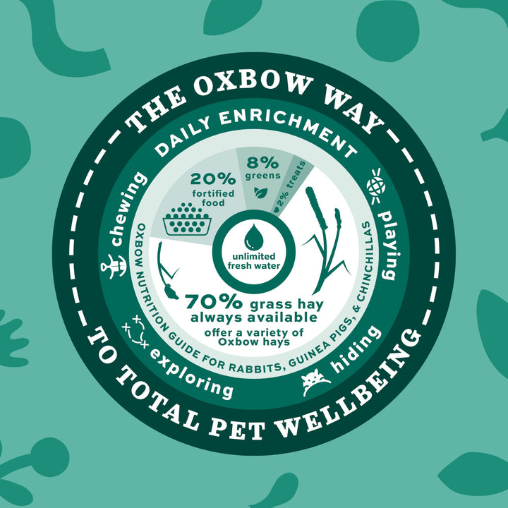Oxbow Animal Health Orchard Grass Hay - All Natural Grass Hay for Chinchillas, Rabbits, Guinea Pigs, Hamsters & Gerbils - 9 lb. Retail $29.99
