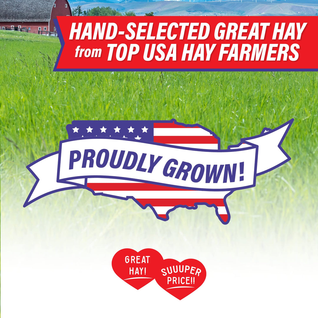 Small Pet Select Value Choice Timothy Hay for Rabbit, Guinea Pig, Bunny, Chinchilla and Other Small Animals, Premium Natural Hay Grown in The US, Pet Food, 8lb Retail $21.25
