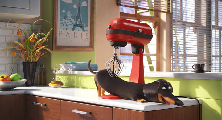 The Secret Life of Pets [DVD]