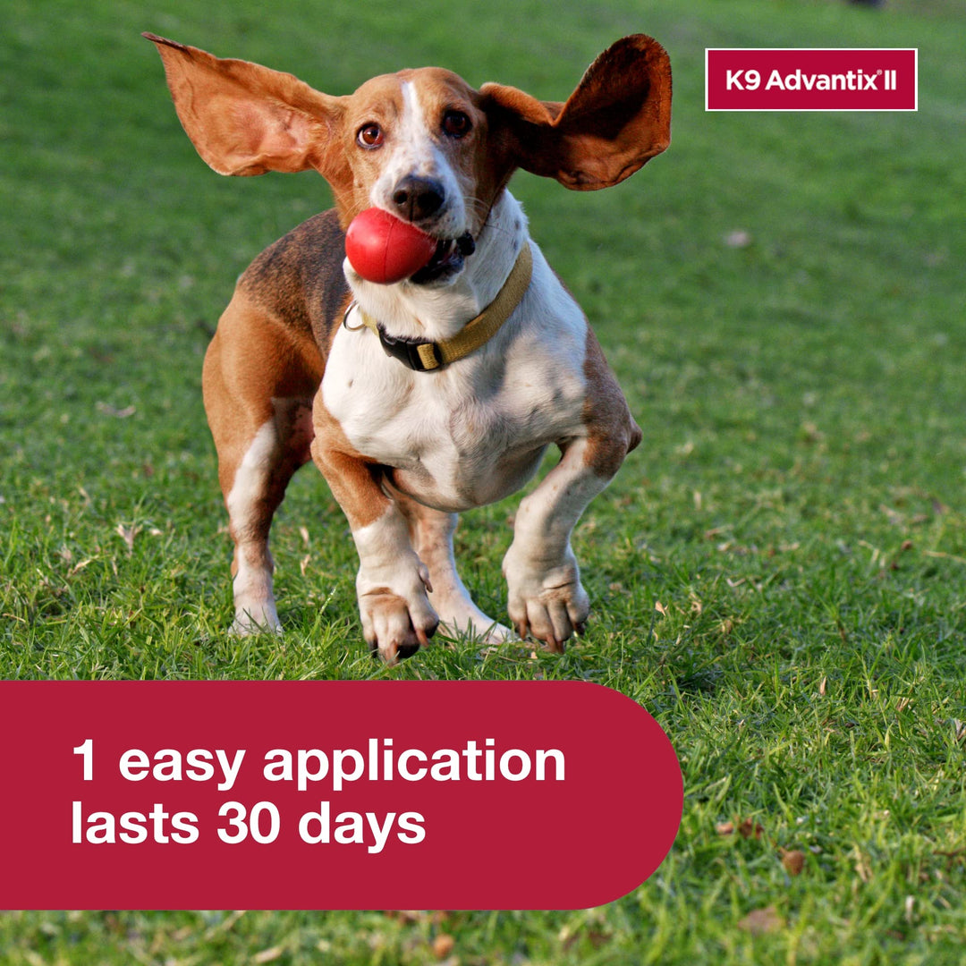 K9 Advantix II Small Dog Vet-Recommended Flea, Tick & Mosquito Treatment & Prevention | Dogs 4-10 lbs. | 1-Mo Supply Retail $19.97