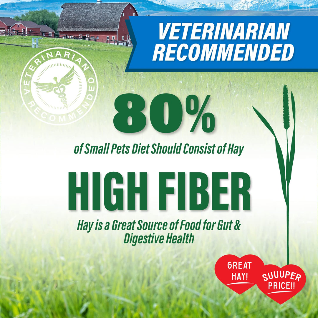 Small Pet Select Value Choice Timothy Hay for Rabbit, Guinea Pig, Bunny, Chinchilla and Other Small Animals, Premium Natural Hay Grown in The US, Pet Food, 8lb Retail $21.25
