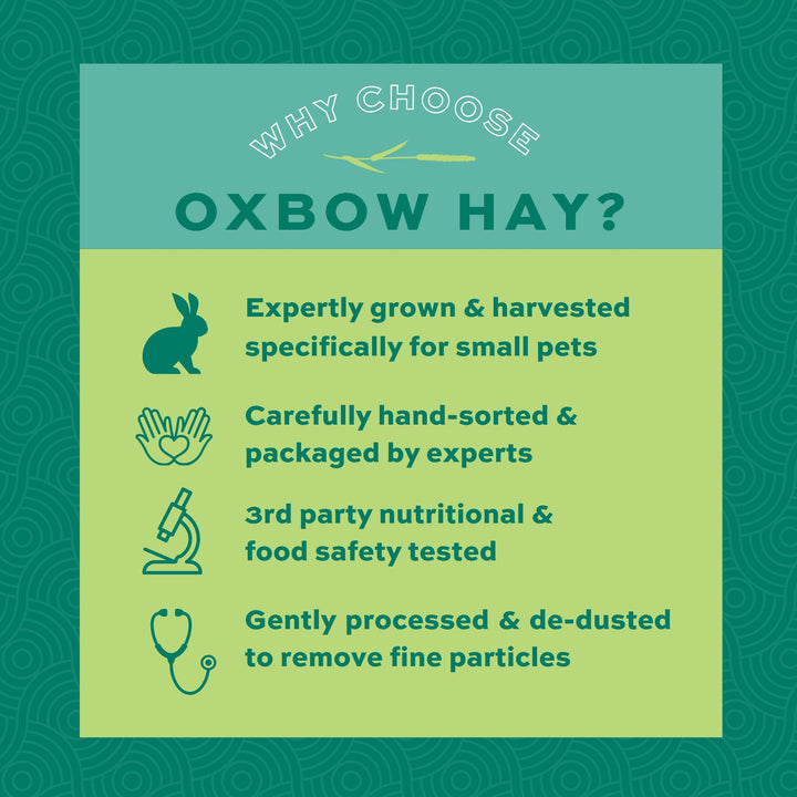Oxbow Animal Health Orchard Grass Hay - All Natural Grass Hay for Chinchillas, Rabbits, Guinea Pigs, Hamsters & Gerbils - 9 lb. Retail $29.99