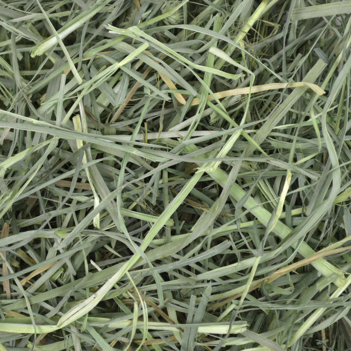 Oxbow Animal Health Orchard Grass Hay - All Natural Grass Hay for Chinchillas, Rabbits, Guinea Pigs, Hamsters & Gerbils - 9 lb. Retail $29.99