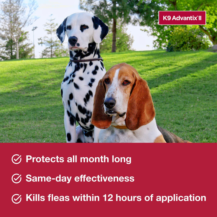 K9 Advantix II Small Dog Vet-Recommended Flea, Tick & Mosquito Treatment & Prevention | Dogs 4-10 lbs. | 1-Mo Supply Retail $19.97