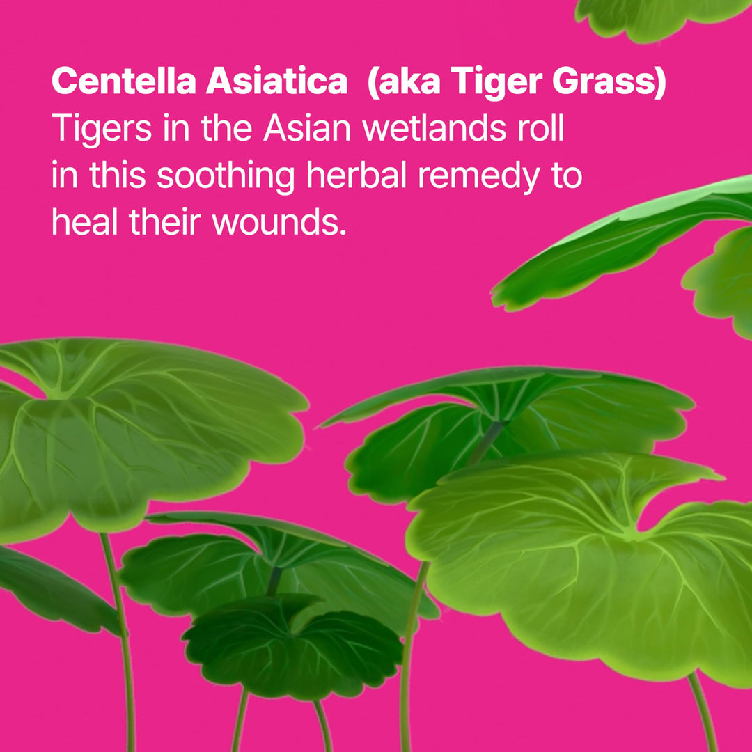 Dr.Jart+ Cicapair Tiger Grass Camo Drops Tinted Serum SPF 35 with Centella Asiatica | Skin Tint | Korean Skin Care Makeup Hybrid, 1.01 Fl Oz